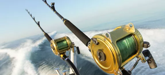 ΓΛΥΚΑ ΝΕΡΑ Κατάστημα -ΓΛΥΚΑ ΝΕΡΑ Κατάστημα 87c41661b0424f9ea6dcd81cd8077c66 0.jpg