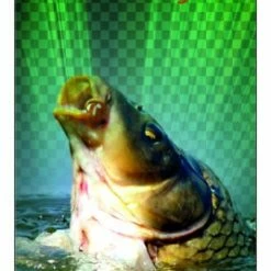 Carp Zoom Σετ PVA Narrow