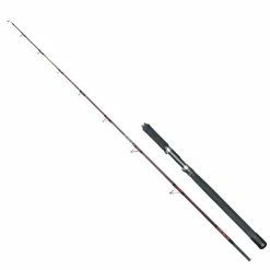 Καλάμι Ψαρέματος Shore Jigging Power Stick Hi-Speed Μήκος 2.70m 40-100gr - Robinson